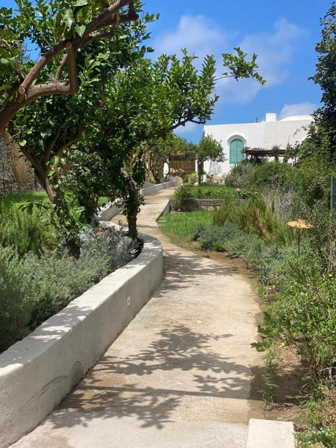Capri Suite Marina Grande Eksteriør bilde