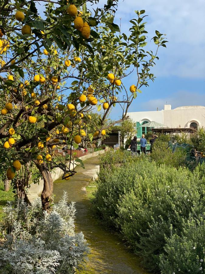 Capri Suite Marina Grande Eksteriør bilde